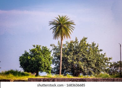 A Beautiful Landscape At Kalinjar Fort, 10th Century, Built By Chandela Kings, Located In Banda District Of Uttar Pradesh State, Near The World Heritage Site Of Khajuraho.