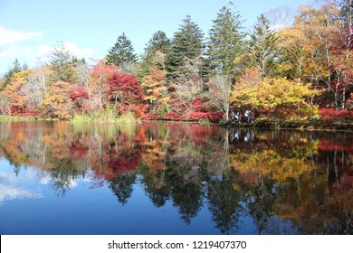 211 Kumobaike Pond Images, Stock Photos & Vectors | Shutterstock