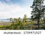 the beautiful landscape of Höga Kusten in Sweden