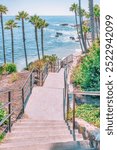 Beautiful landscape of Laguna Beach ocean coastline with palm trees in Treasure Island Park, Orange County, California, USA.