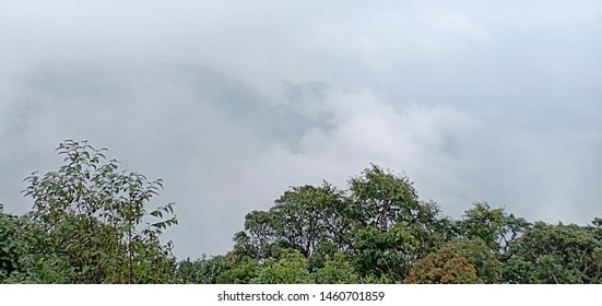 Beautiful Landscape and leaf photo from Cherrpunjee,Meghalya hills - Shutterstock ID 1460701859