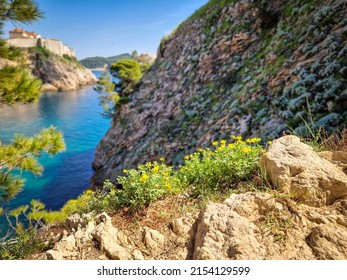 Beautiful landscape located in Old town Dubrovnik, Croatia. Sea view with colorful flowers and blue sky. Adriatic sea. Summer destination. Tourism.