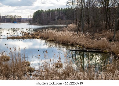 The Beautiful Landscape Of Marshland