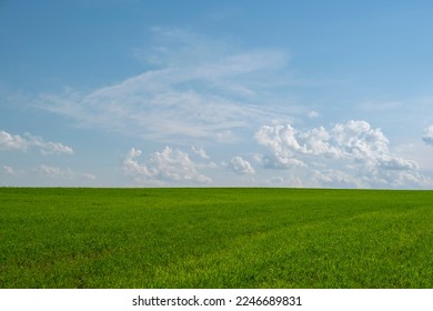 Beautiful landscape of meadows or pastures with green grass on background of blue sky with clouds. - Shutterstock ID 2246689831