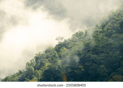 A beautiful landscape of misty sunlight on high mountain peaks covering a beautiful forest. at Phu Chi Dao in rural Chiang Rai Province Northern Thailand - Powered by Shutterstock