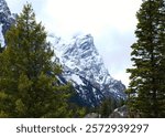 A beautiful landscape of Mount Owen from the tree foliage