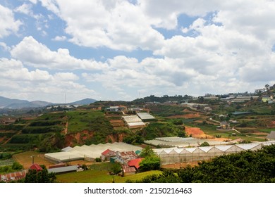 Beautiful Landscape With Mountain And Farm In Dalat. Dalat Is A Famous City For Travellers In Lam Dong Province, Vietnam.