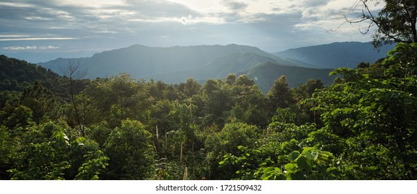Beautiful landscape of mountain view and tropical rain-forest at sunset time with golden sunlight. Concept of green natural virgin forest.