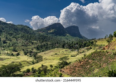 10,989 Srilanka background Images, Stock Photos & Vectors | Shutterstock