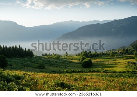 Beautiful landscape with mountains, grass and a valley at sunset with blue sky and clouds. View of the valley in Adjara, Georgia.