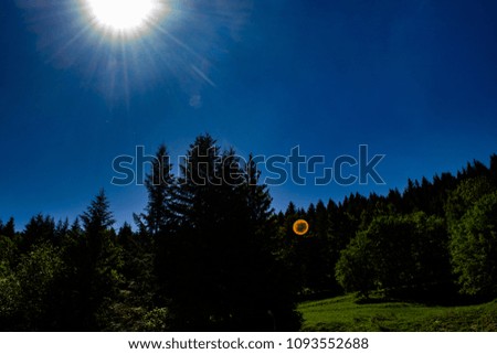 Similar – Image, Stock Photo allgäu. Environment Nature