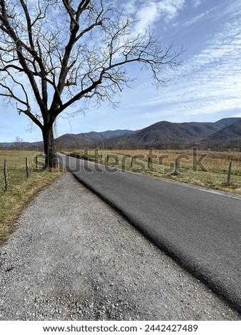 Beautiful landscape with mountains and trees with blue sky