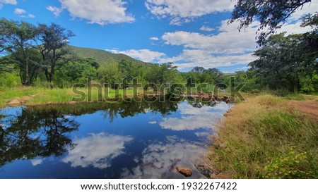 Beautiful landscape in the natural bushveld and dams
