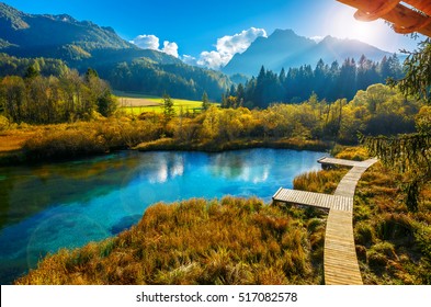 Beautiful Landscape Of Nature At Lake Zelenci In Autumn, Granjska Gora, Slovenia (lens Flares Added)