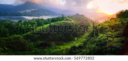 beautiful landscape nature of rain forest and mountain panorama background. green hill by trees and plants. nice place for outdoor travel on vacation or holidays. tropical forest of thailand.