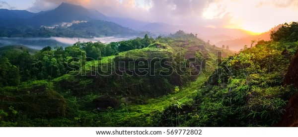 Beautiful Landscape Nature Rain Forest Mountain Stock Photo Edit Now 569772802