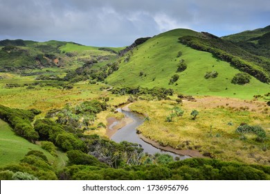 Beautiful Landscape Near The Puponga Farm Track. The Sun Coming Out Under A Cloudy Sky. New Zealand, South Island.