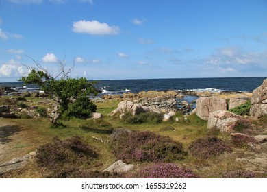 Beautiful Landscape On Bornholm On A Summer Day In August