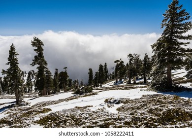 Beautiful Landscape On Mount San Antonio (Mt Baldy), Los Angeles County, California