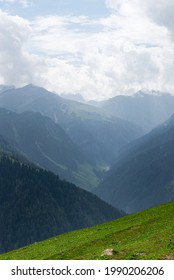 Beautiful landscape on the way from Kashmir Great Lakes Trek , Green Plant Mountain Cloud, Jammu and Kashmir , India.