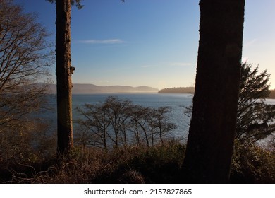 Beautiful Landscape Of Oregon Coast From The Forest Trail