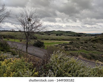 Beautiful Landscape Outside Central Coast California Winery