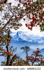 Beautiful landscape photo of mountains from Poon hill in Nepal