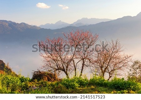 Beautiful landscape photo of Sapa-Vietnam