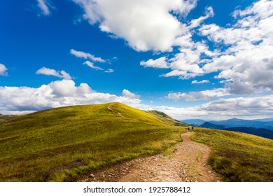 山道 の画像 写真素材 ベクター画像 Shutterstock