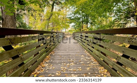 A beautiful landscape photo of a wooden bridge with colourful autumn leaves, with bridge lines converging at the centre. This is taken in Edwards Gardens in Toronto, Canada