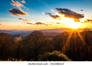 A beautiful landscape with pine trees in the Great Smoky Mountains on the sunset sky background