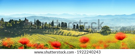 Beautiful Landscape with Poppies Flowers. Chianti Tuscany Italy