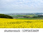 beautiful landscape with the port of Calais on the horizon