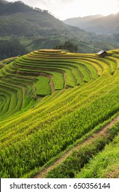 Beautiful landscape rice fields on terraced of Mu Cang Chai, YenBai, Vietnam