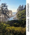 Beautiful landscape at Ruby Beach, Olympic National Park, Washington 