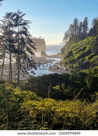 Beautiful landscape at Ruby Beach, Olympic National Park, Washington 