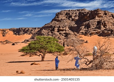 Beautiful landscape of Sahara Desert in Algeria with rocks and sand dunes. Tuaregs are native people of desert chopping dry wood for a fire  - Powered by Shutterstock