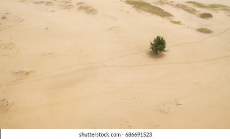 Beautiful Landscape Of Sandy Desert Aerial Photography