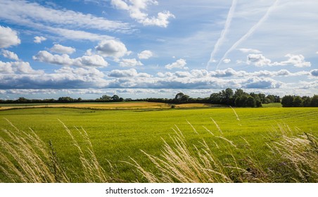 たんぼ の画像 写真素材 ベクター画像 Shutterstock