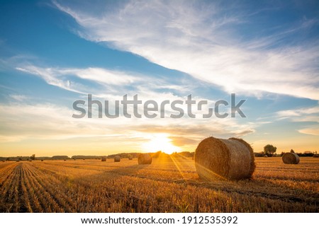 Beautiful landscape of setting sun over a big agricultural field of straw rolled into bales. Rural scenery