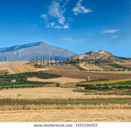 Similar – Image, Stock Photo Palm trees, Italy, summer,