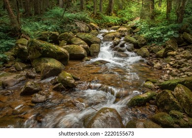 beautiful landscape with a small waterfall in a forest with stone terrain - Shutterstock ID 2220155673