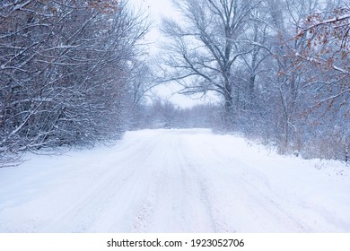 beautiful landscape, snowy road in the forest between the trees, winter season