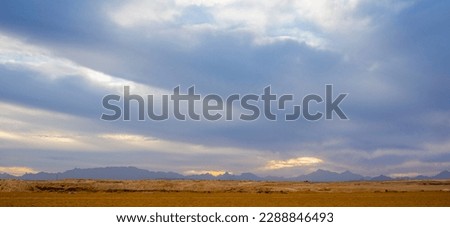 beautiful landscape at sunset in sahl hashish for banner background.beautiful egyptian landscape with silhouettes of palms and mountains