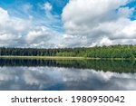 Beautiful landscape view of the lake in the forest 