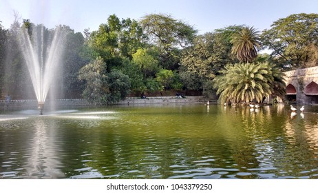 1,490 Lodi gardens Images, Stock Photos & Vectors | Shutterstock