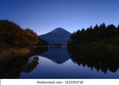 Lake Tanuki Images Stock Photos Vectors Shutterstock