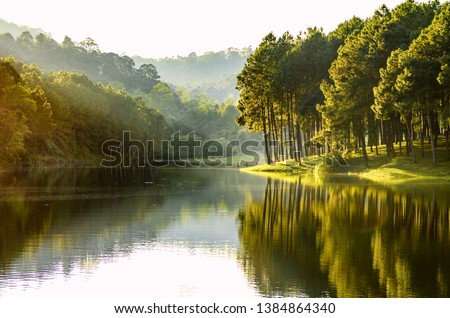 Beautiful landscape view of pine forest tree and lake view of reservoir.