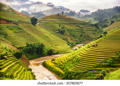 Beautiful landscape view of rice terrace in Mu cang chai , Northern Vietnam