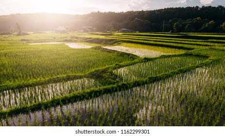 beautiful landscape view of rice terraces - Shutterstock ID 1162299301
